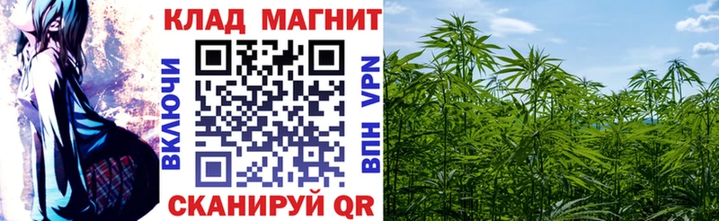 Купить наркоту Кировск Марихуана Героин Гашиш Кокаин СК