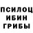 Галлюциногенные грибы ЛСД EngleDit