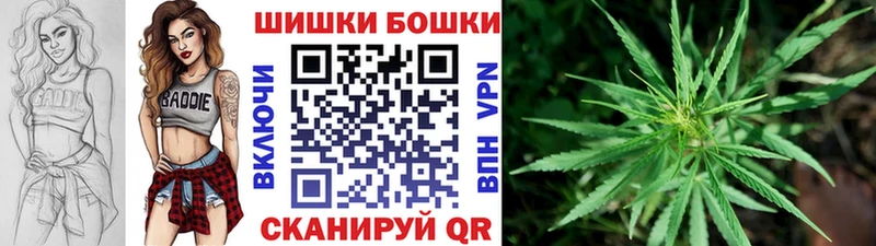 Бошки марихуана марихуана  купить наркотик  Кировск 